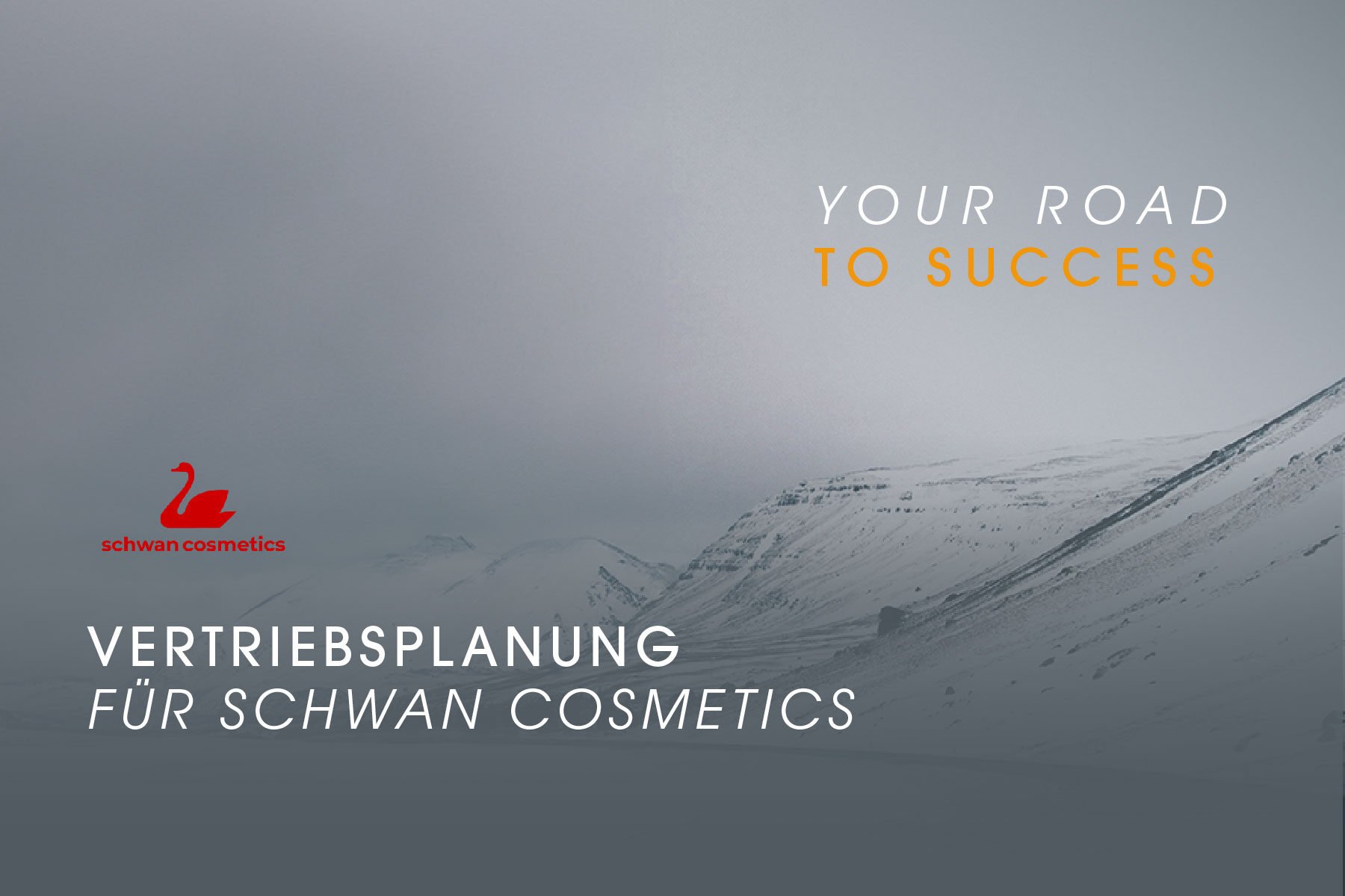 Kundenprojekte Vertriebsplanung Schwan Cosmetics