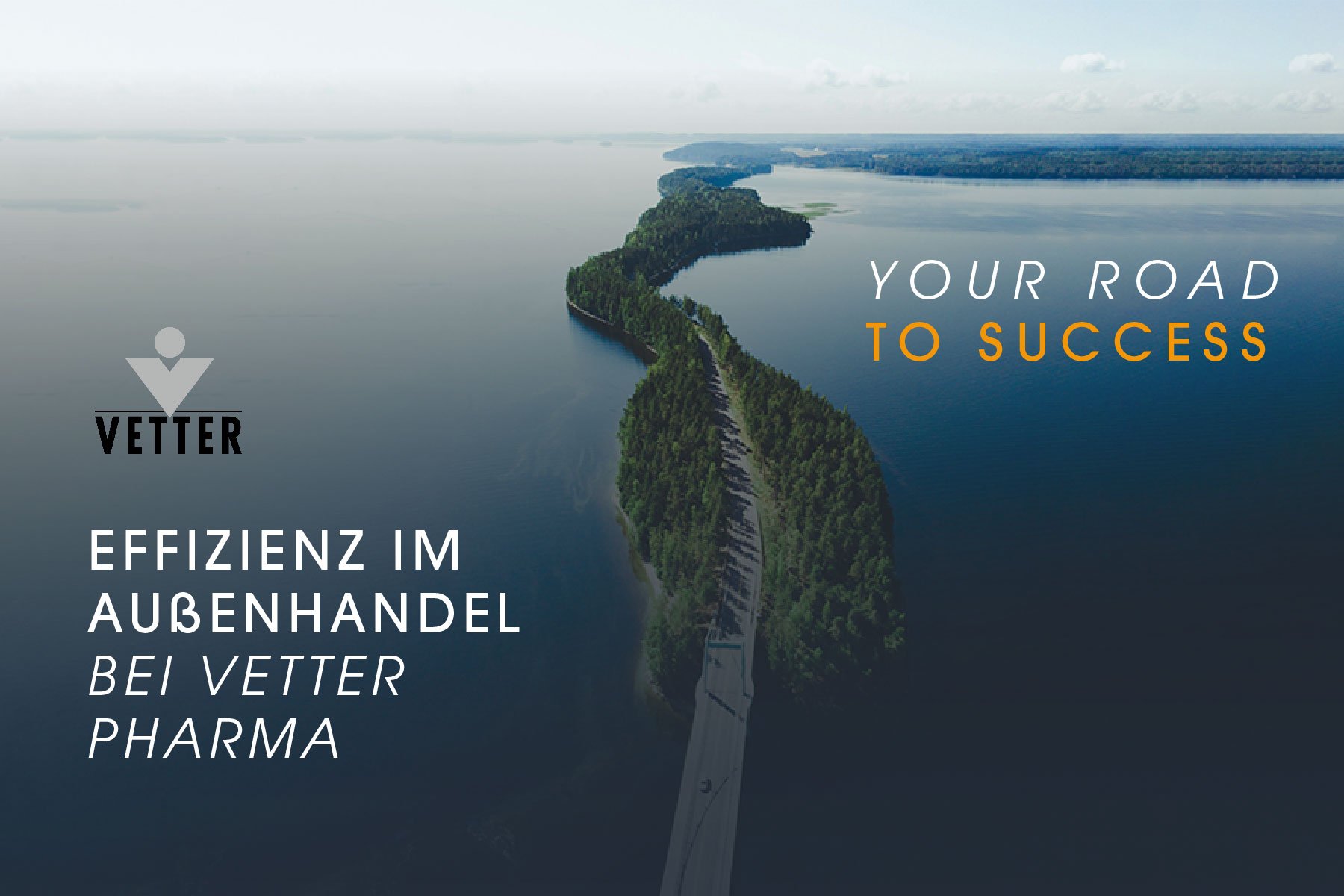 Referenz Zollabwicklung VetterPharma