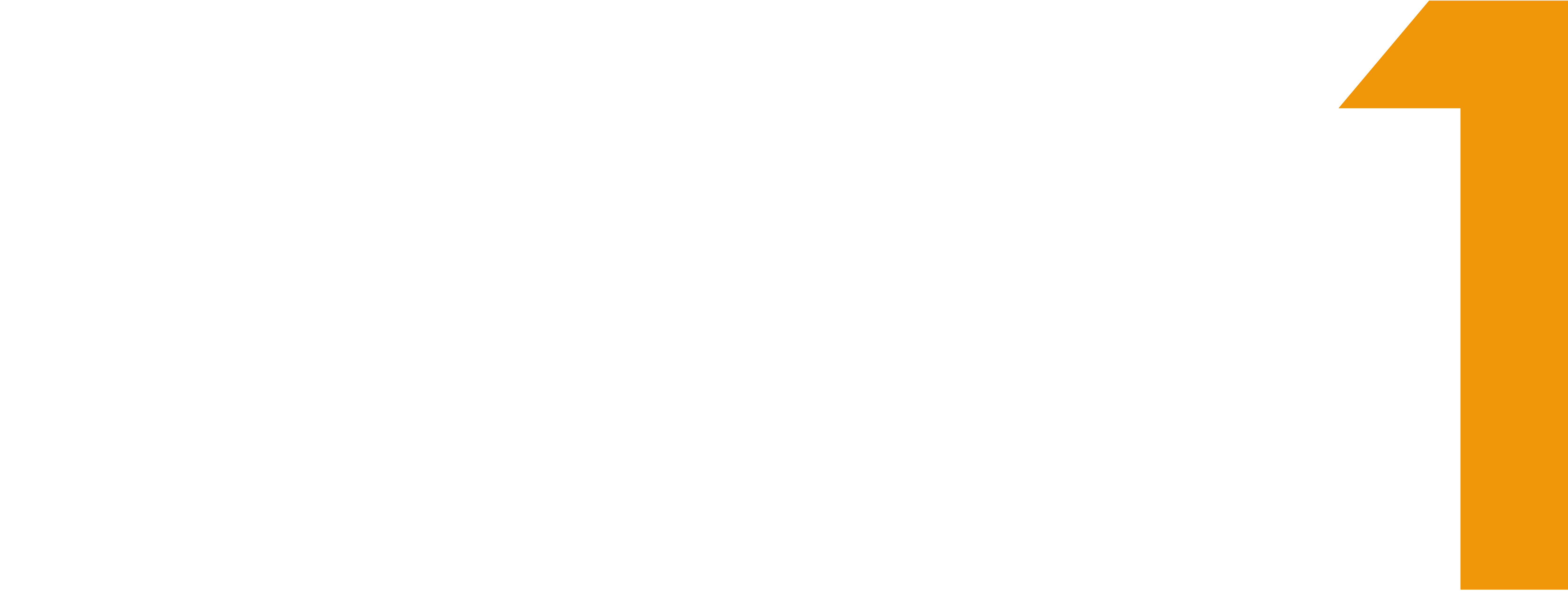 Five1_Logo_RGB_weiss-1