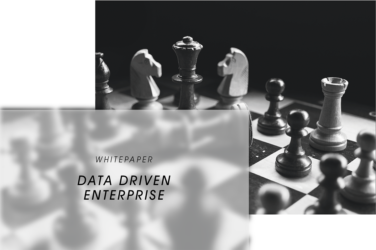 Whitepaper Datenstrategie