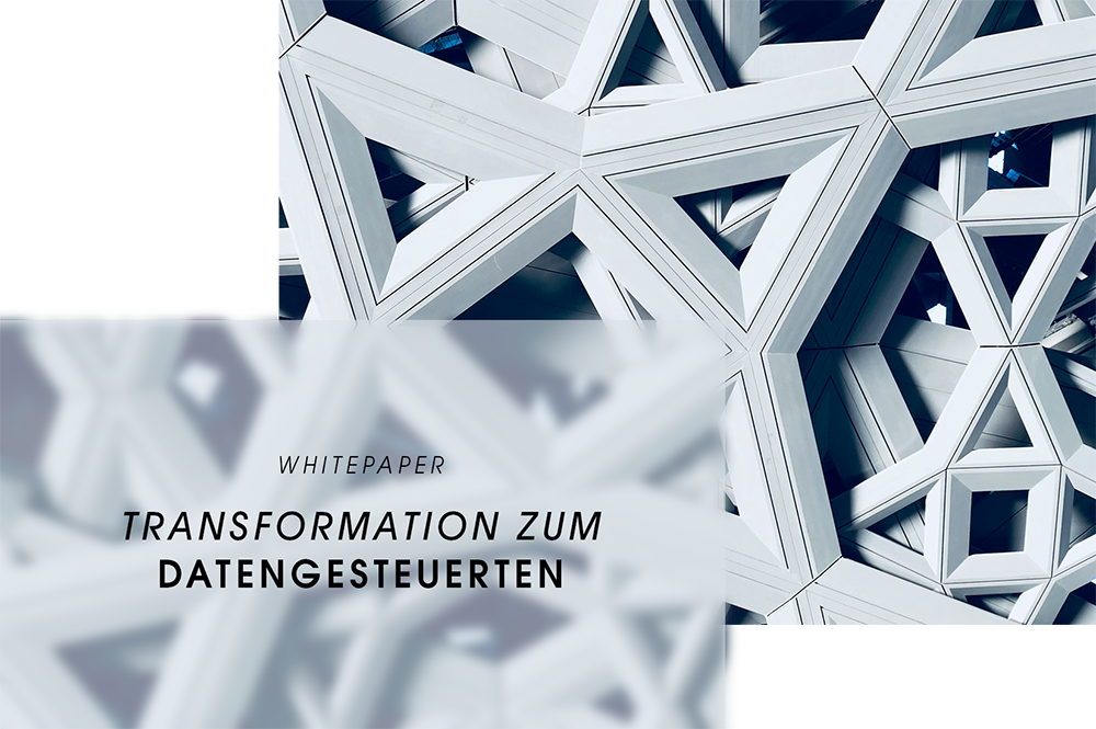 Whitepaper - Transformation zum Data Driven Company