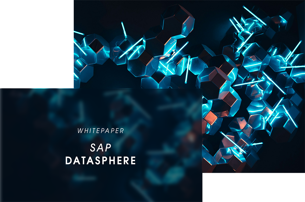 Whitepaper SAP Datasphere
