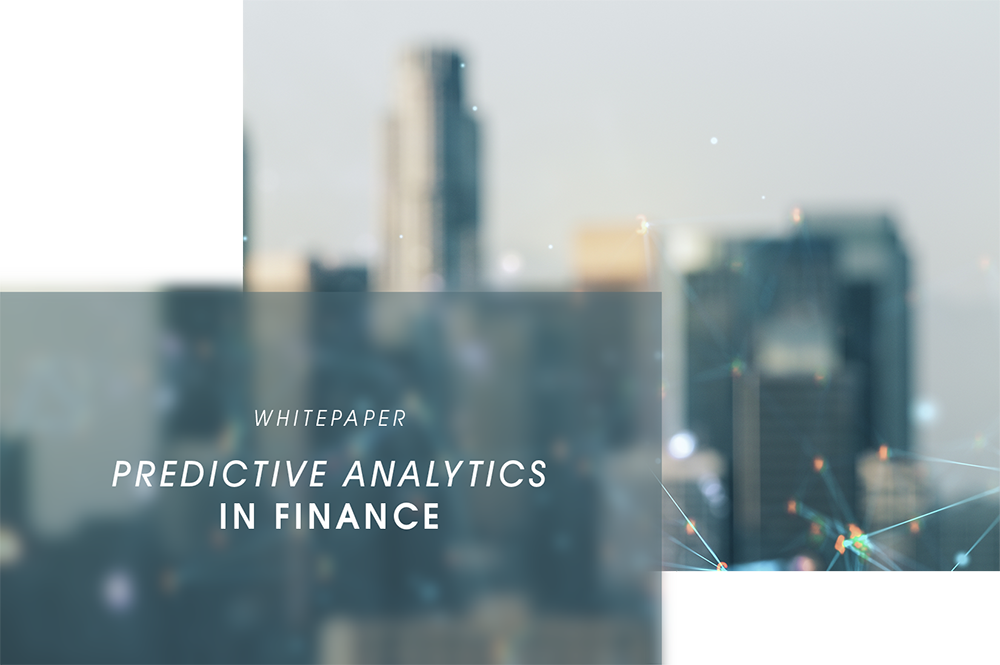Finanzplanung, Whitepaper Predictive Analytics in Finance