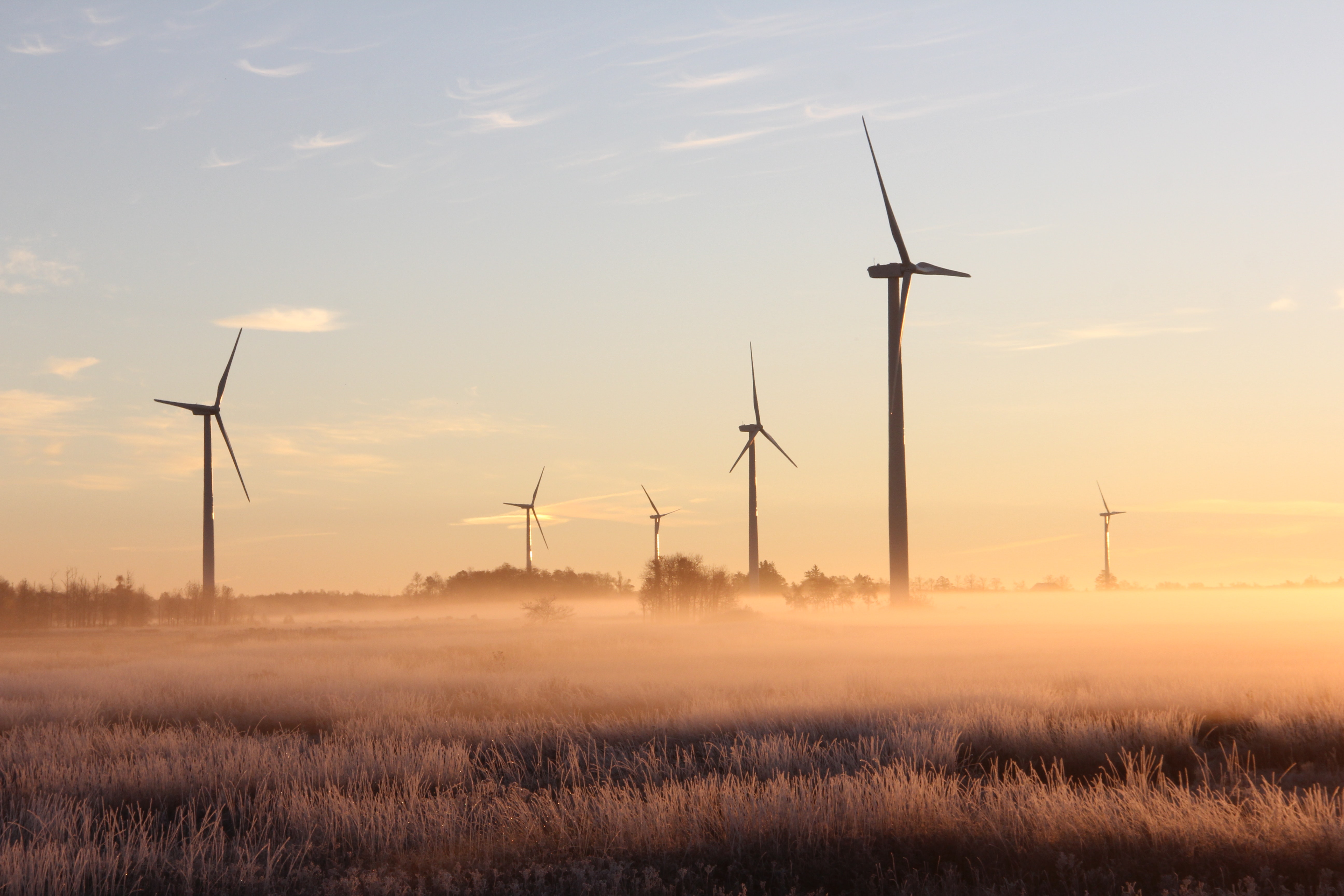 Mit 7 Schritten in die Cloud - für Energieversorger