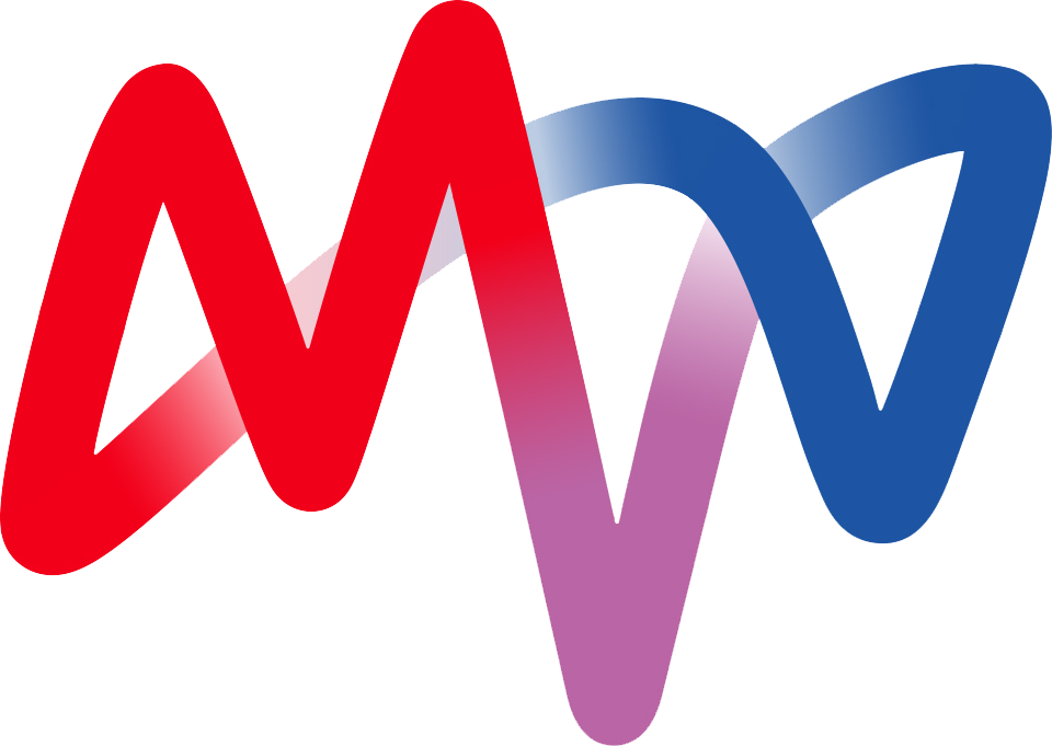 MVV_Logo