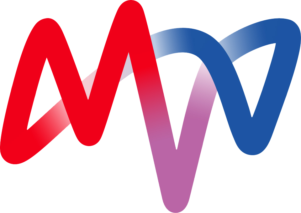 MVV_Logo